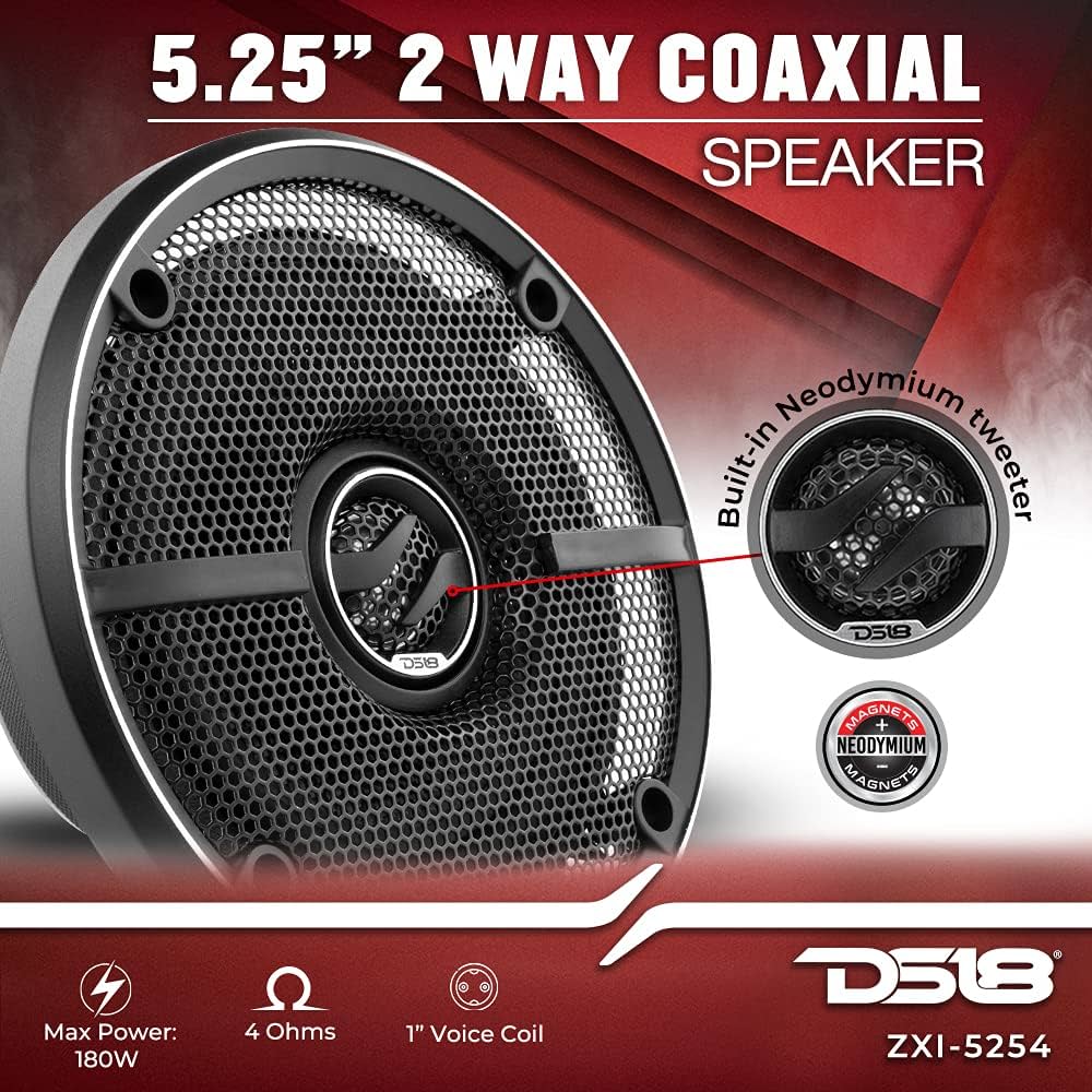 Amazon.com: DS18 ZXI-5254 5.25
