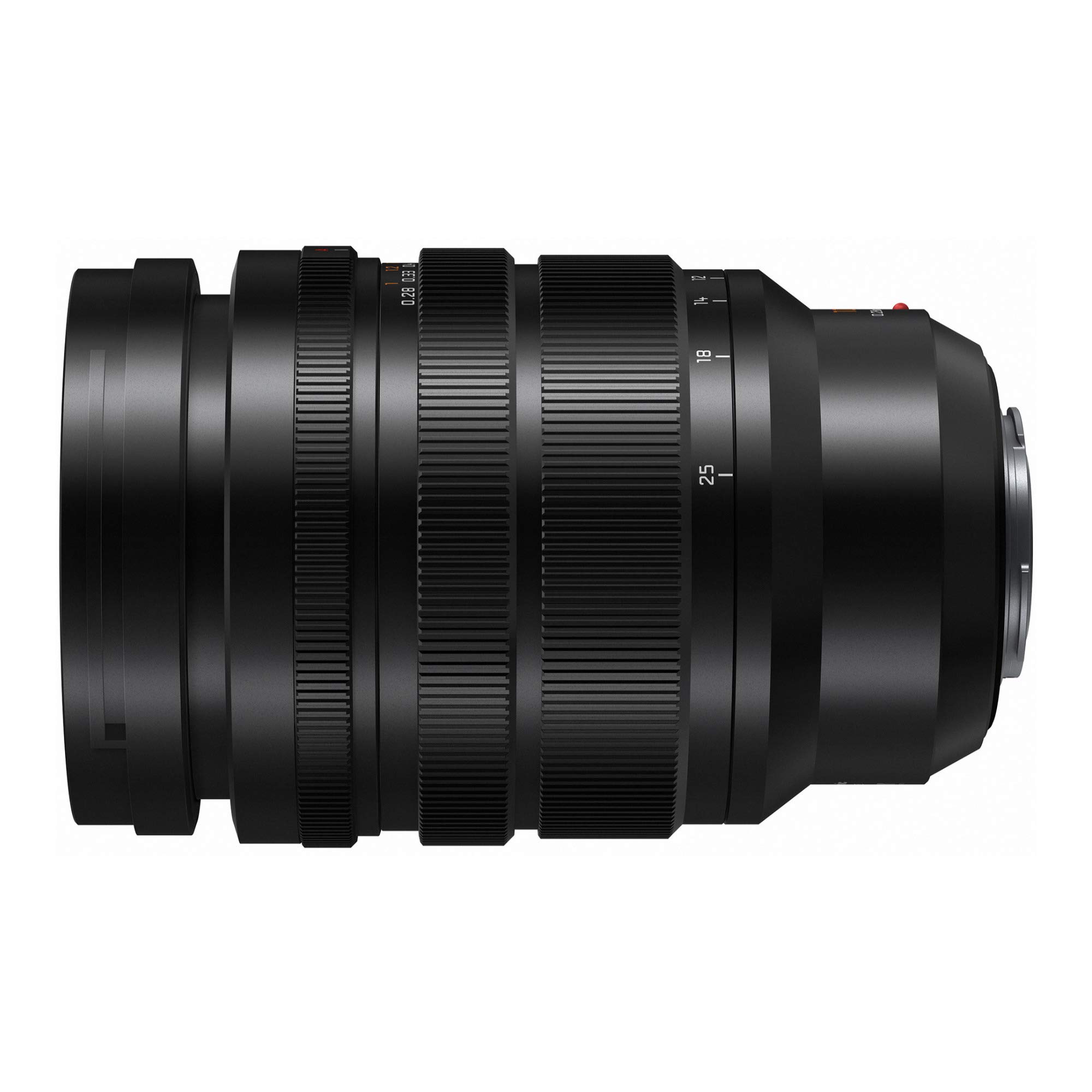 Panasonic Lumix G Leica DG Vario-Summilux 10-25mm, F1.7 ASPH. Lens
