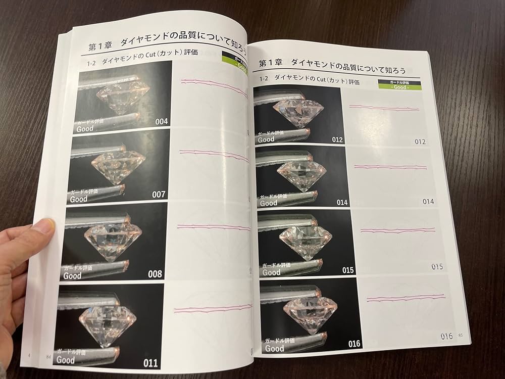 Amazon.co.jp: 宝石鑑定査定士 育成講座テキスト ダイヤ編 : reuse: 本