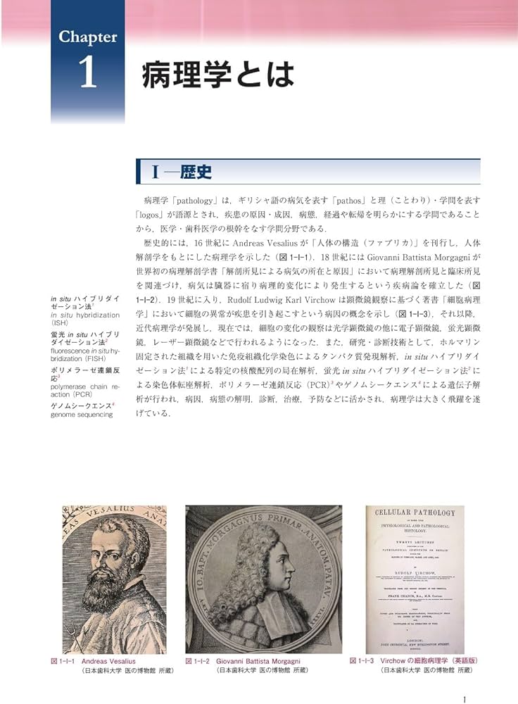 歯学生のための基礎病理学 | 髙田 隆, 豊澤 悟, 田沼 順一, 岡田 康男