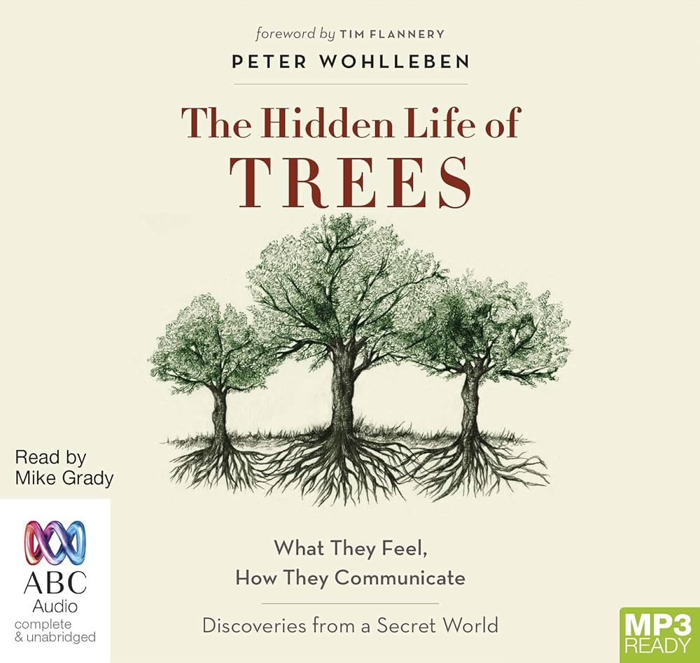 Amazon.com: The Hidden Life of Trees: 9781489357885: Peter