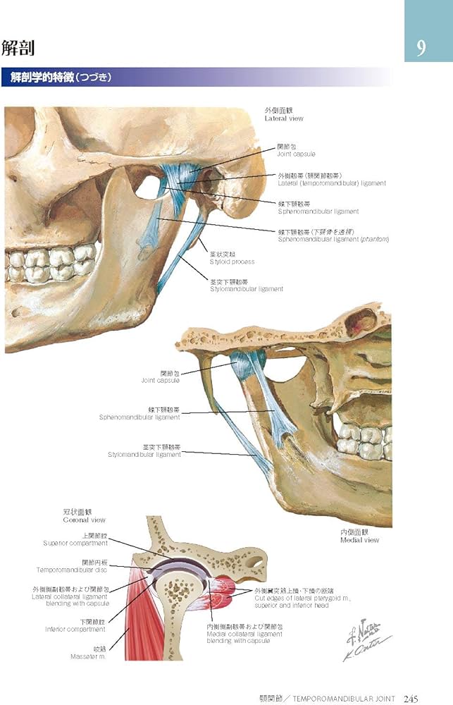 ネッター頭頸部・口腔顎顔面の臨床解剖学アトラス 原著第3版 | Neil S
