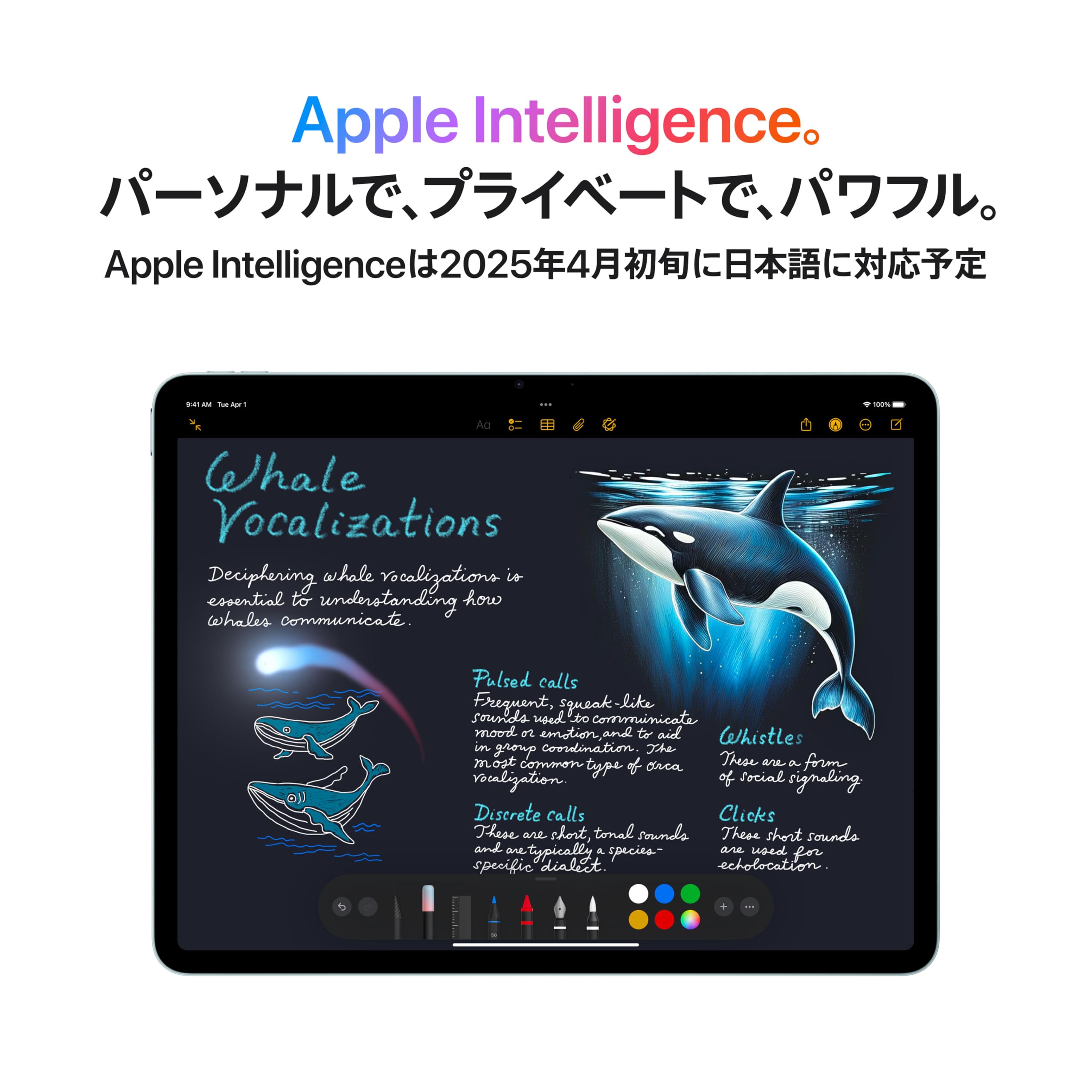 Amazon.co.jp: 【整備済み品】Apple iPad Air 11 インチ (M3) Wi-Fi+