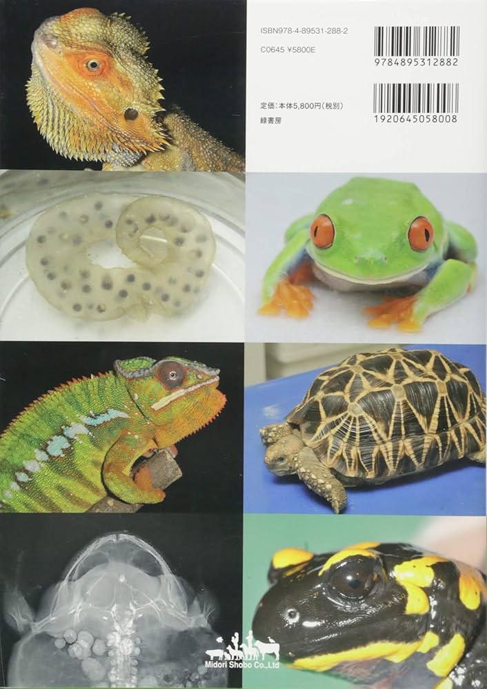 カラーアトラスエキゾチックアニマル 爬虫類・両生類編 | 霍野晋吉