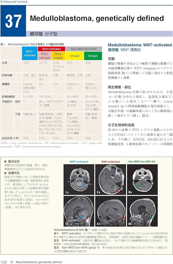 脳腫瘍臨床病理カラーアトラス 第4版 | 日本脳腫瘍病理学会, 若林俊彦