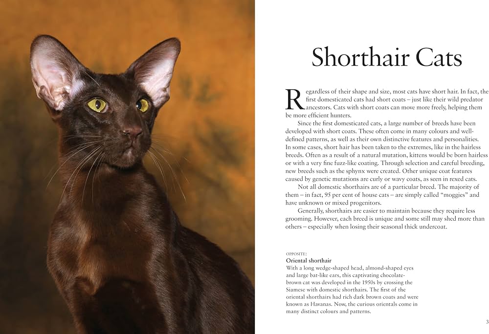 Cats (Mini Encyclopedias): Photopoulos, Julianna: 9781838862572