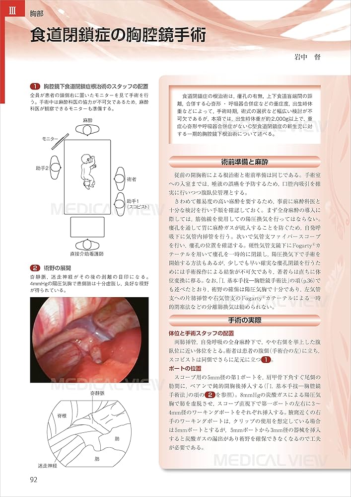 スタンダード小児外科手術 | 猪股 裕紀洋 |本 | 通販 | Amazon