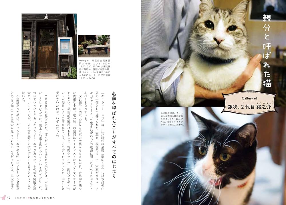 看板にゃん猫 －猫たちがこっそり教えてくれた14の奇跡の出会い