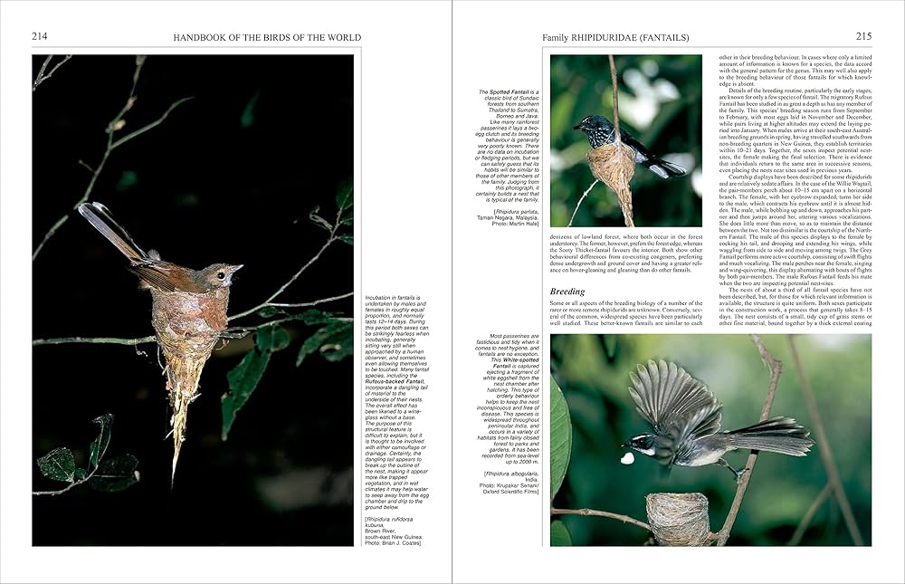 Handbook of the Birds of the World, Volume 11: Old World