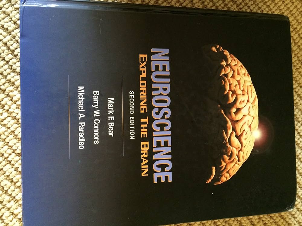 Neuroscience: Exploring the Brain: mark-f-bear-barry-w-connors