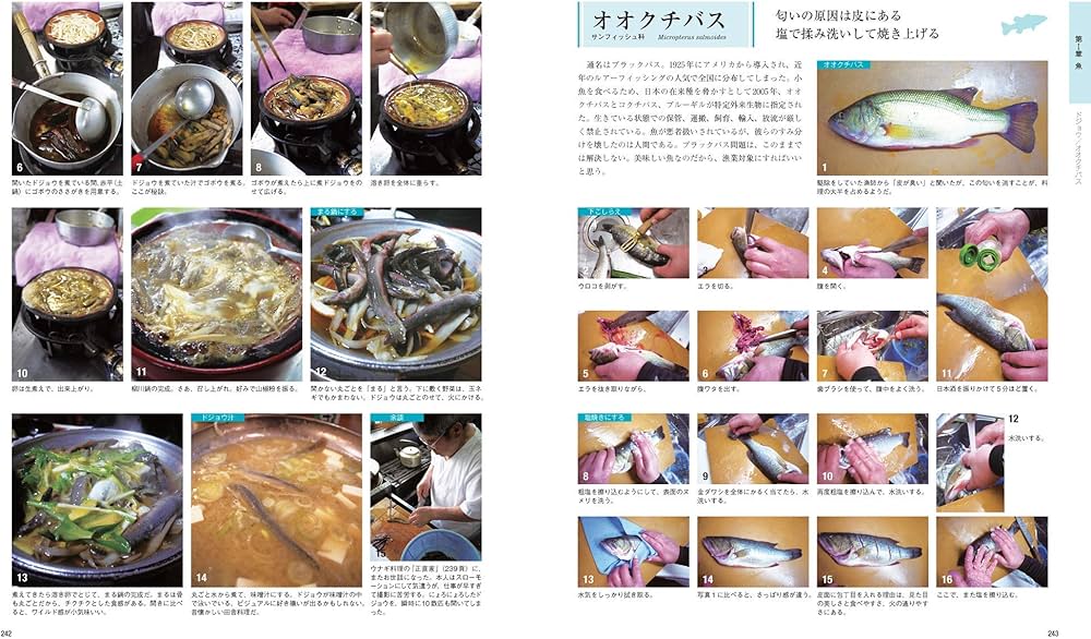 改訂新版 日本産 魚料理大全 | 西潟 正人, 瀬能 宏 |本 | 通販 | Amazon