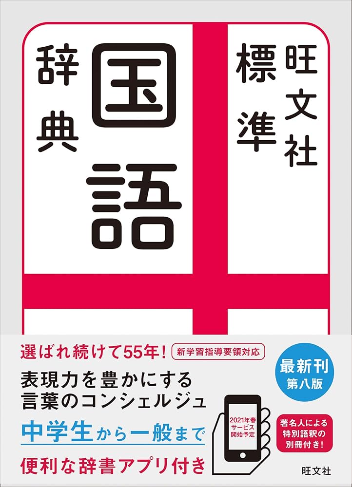 81-X3ZPgqmL._AC_UF1000,
