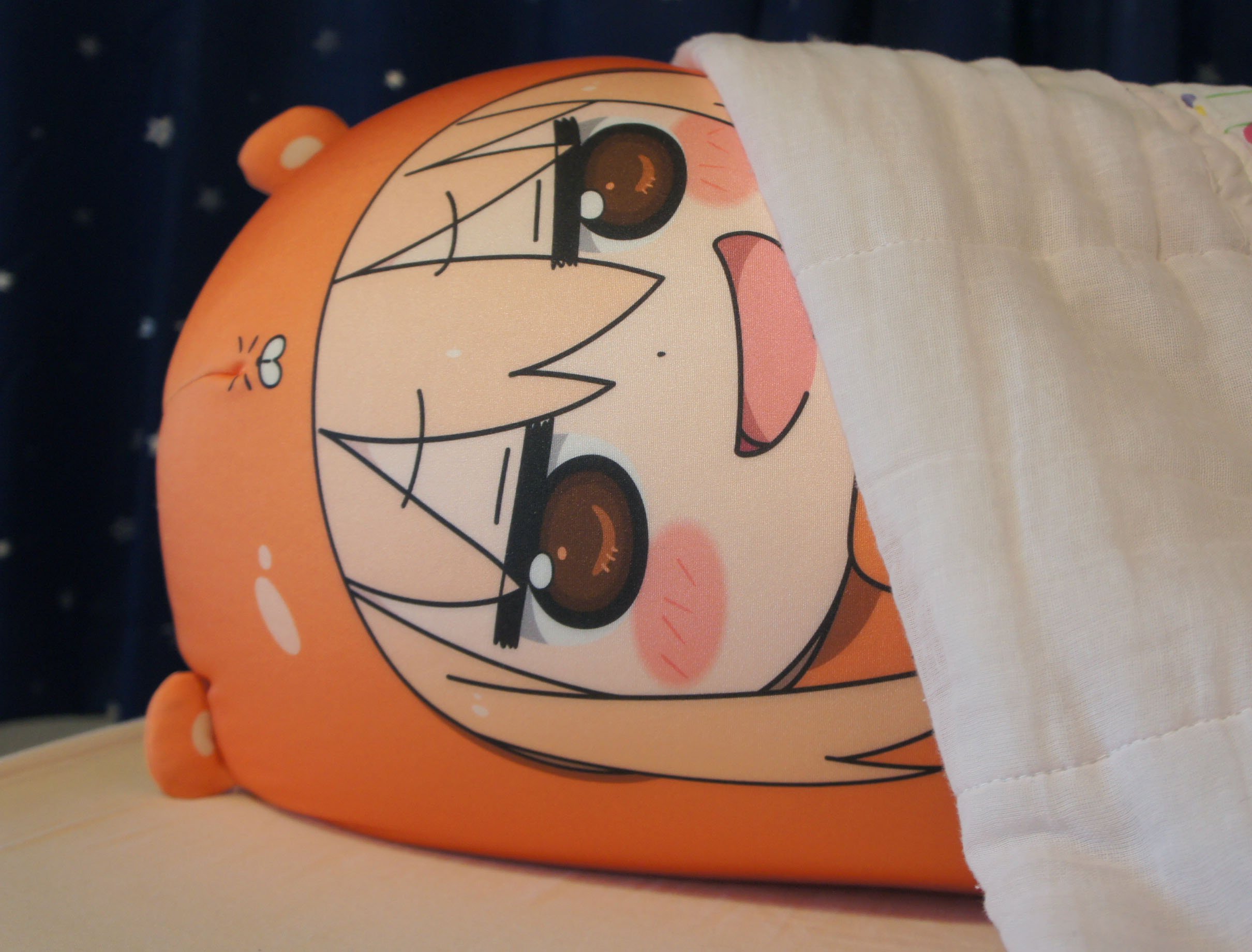 Amazon.co.jp: 干物妹!うまるちゃん だいたい等身大クッション : おもちゃ
