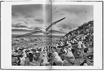 Amazon | Sebastião Salgado. Genesis | Salgado, Lelia Wanick