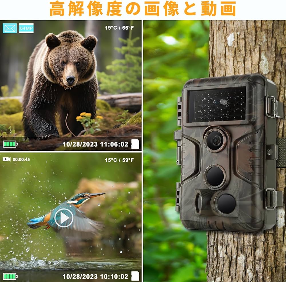 Amazon.co.jp: Blazevideo トレイルカメラ 1296P人感センサー 防犯