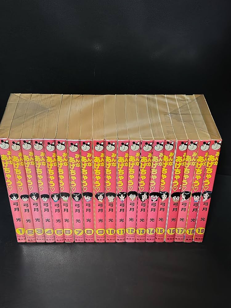 みんなあげちゃう 全19巻完結 [マーケットプレイス コミックセット