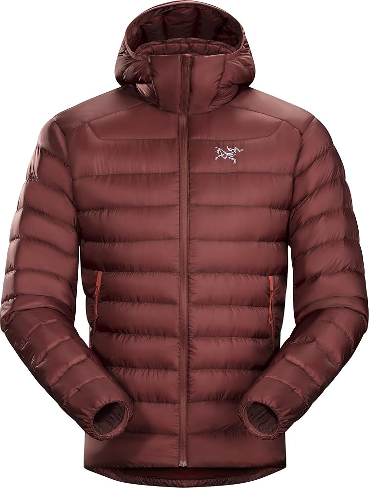 Amazon | ARC'TERYX セリウム LT パーカー メンズ(ポンペイ、スモール