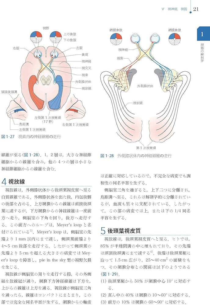Amazon.co.jp: 視能検査学 (視能学エキスパート) : 公益社団法人 日本
