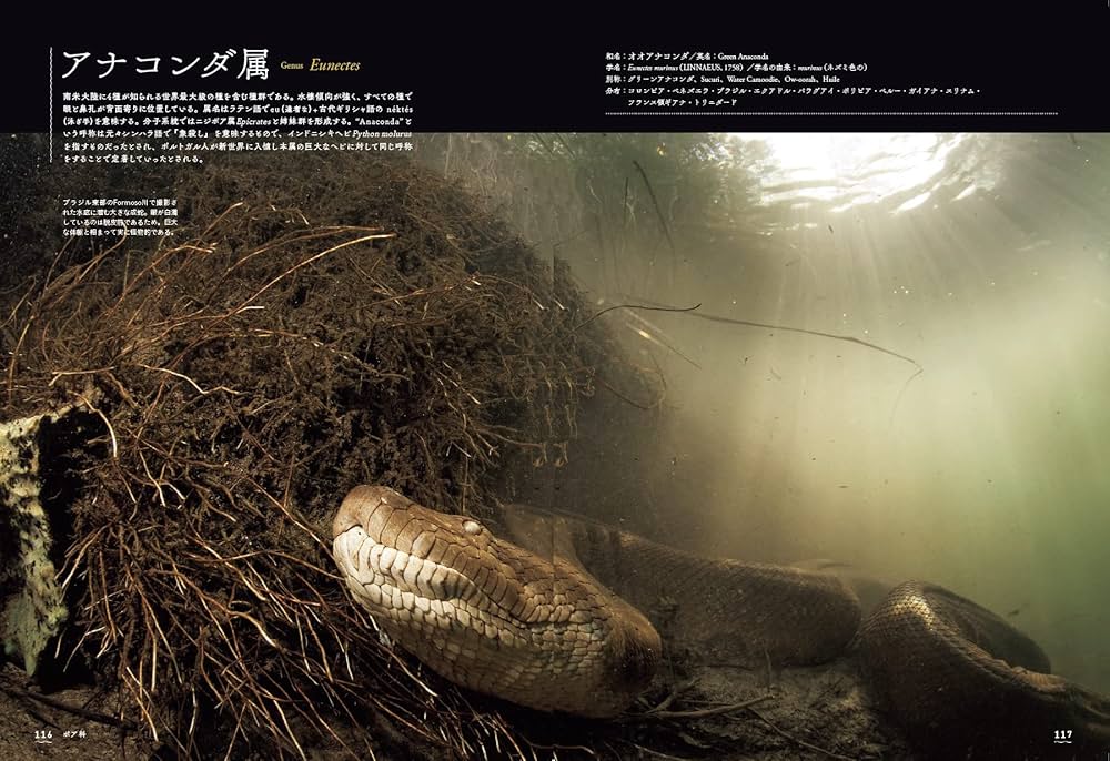 大蛇全書 | 田原 義太慶, 柴田 弘紀, 友永 達也, 田原 義太慶 |本