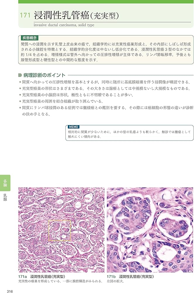 組織病理カラーアトラス[Web付録付] 第3版 | 坂本 穆彦 |本 | 通販