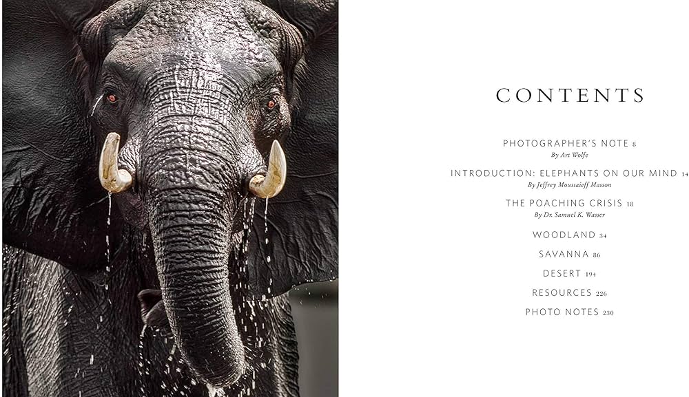 Amazon.com: Wild Elephants: Conservation in the Age of Extinction