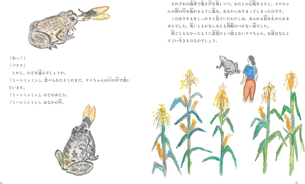 ヒキガエルとくらす クロちゃんとすごした18年 (月刊たくさんのふしぎ