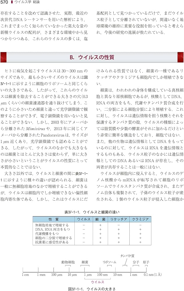 戸田新細菌学 | 柳 雄介, 林 哲也, 山﨑 晶 |本 | 通販 | Amazon