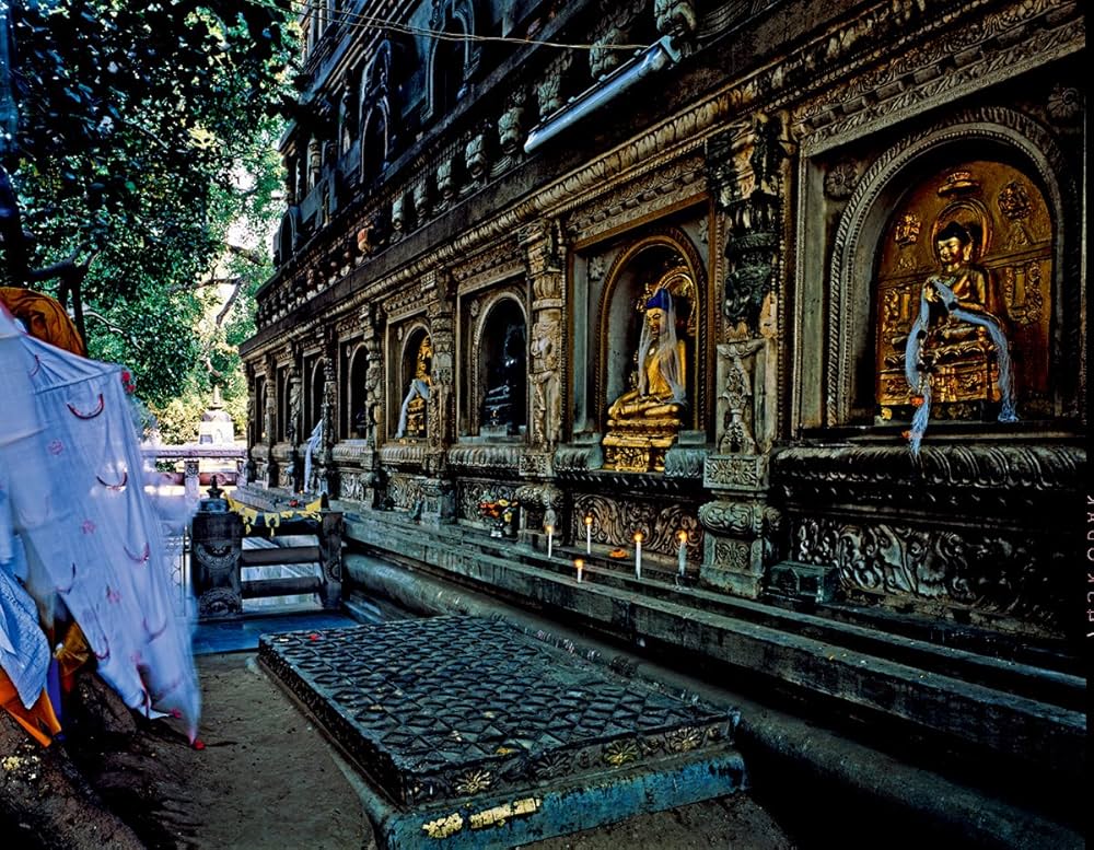 81L136oj5lL._AC_UF1000,