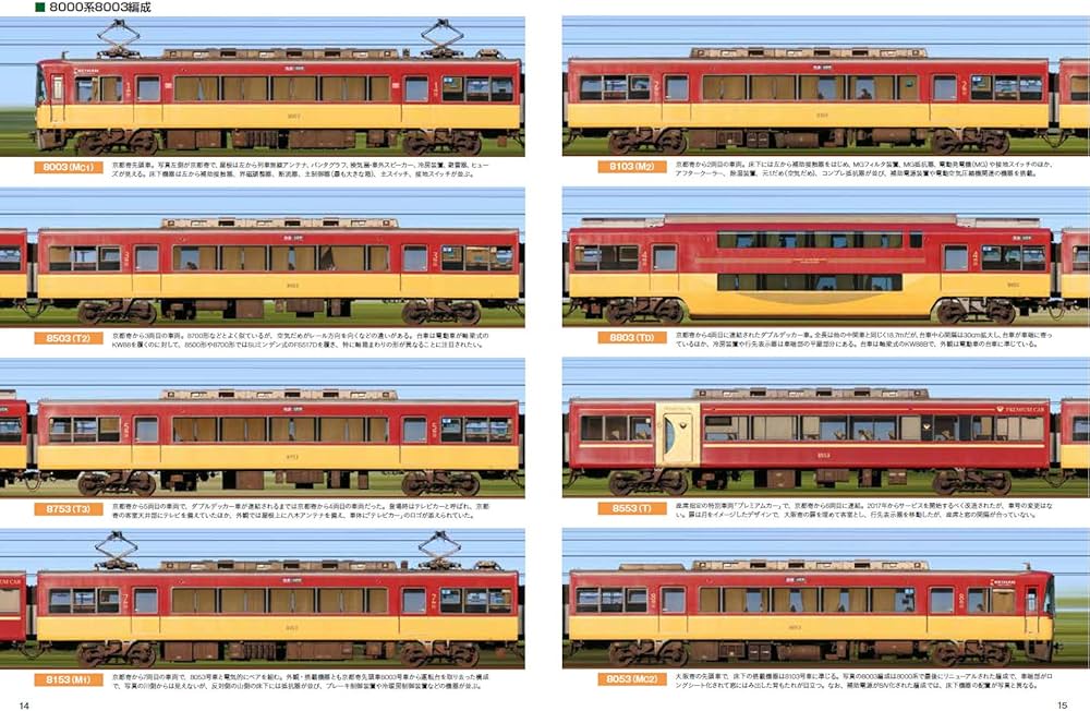 81MdqGkOBiL._AC_UF1000,