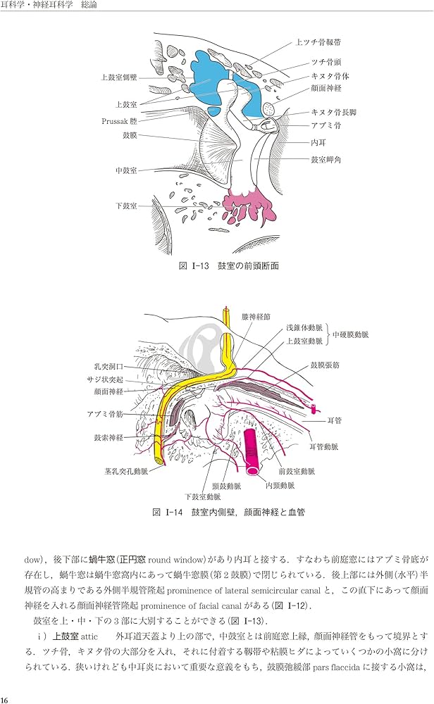新耳鼻咽喉科学 | 野村 恭也, 加我 君孝, 切替 一郎 |本 | 通販 | Amazon
