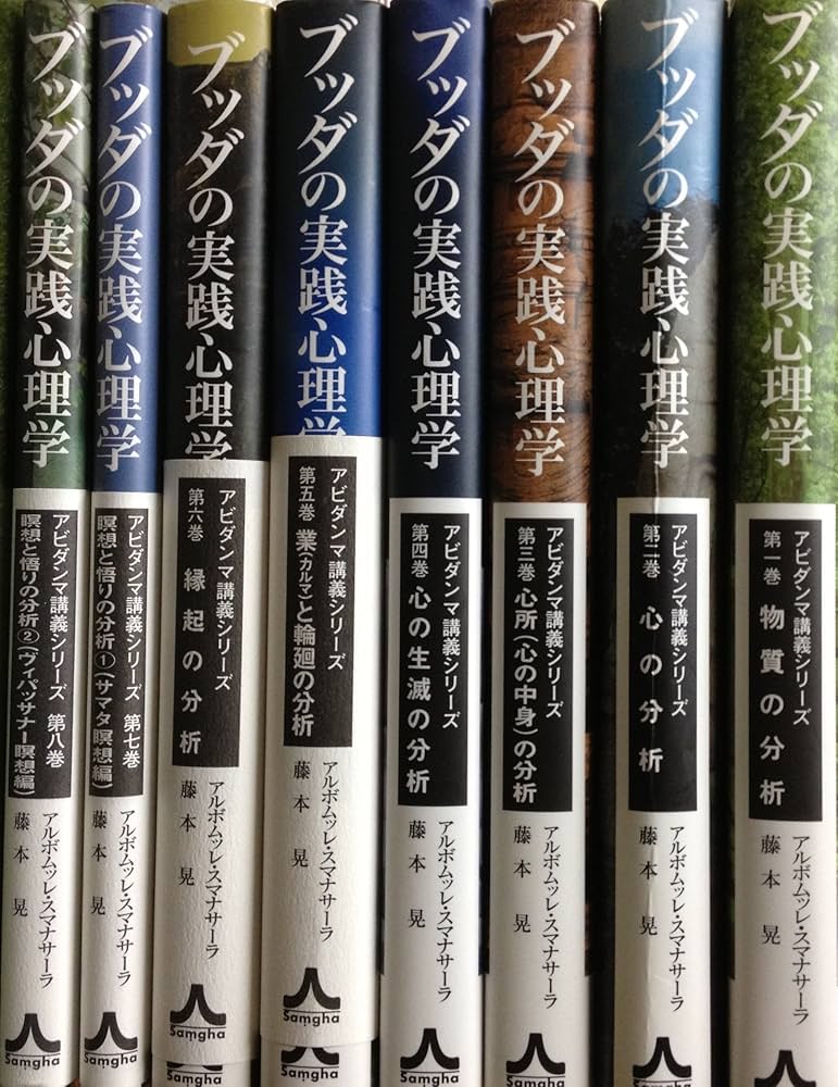 ブッダの実践心理学 (アビダンマ講義シリーズ―物質の分析