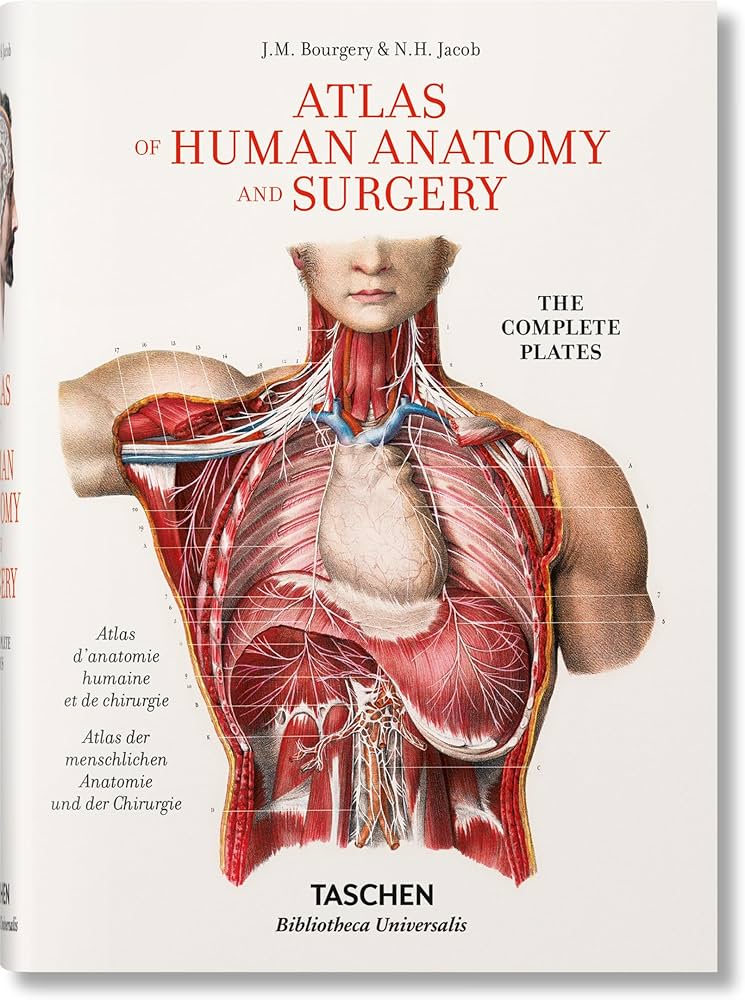 Amazon | Bourgery. Atlas of Human Anatomy and Surgery (Bibliotheca