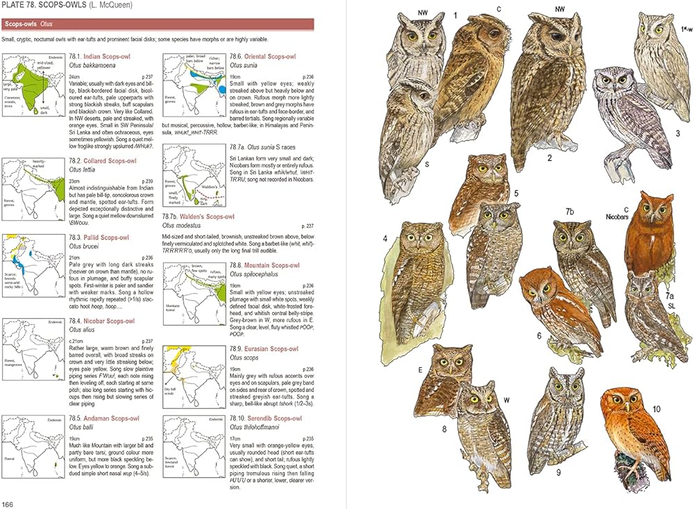 Amazon | Birds of South Asia: The Ripley Guide | Rasmussen, Pamela