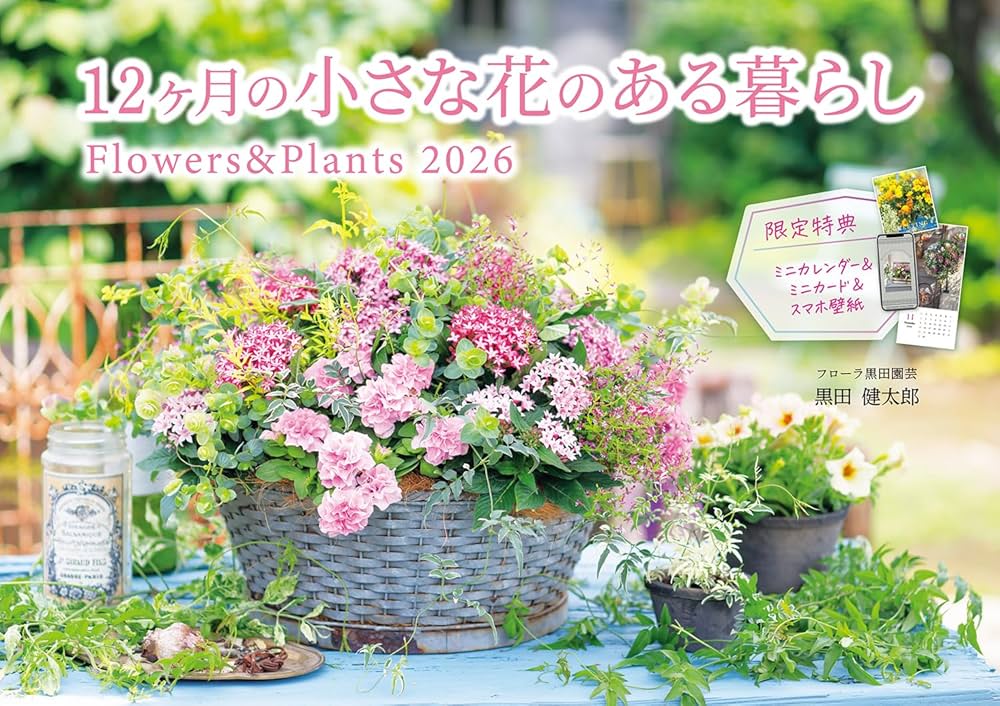 Amazon.co.jp: 【通常版】12ヶ月の小さな花のある暮らし