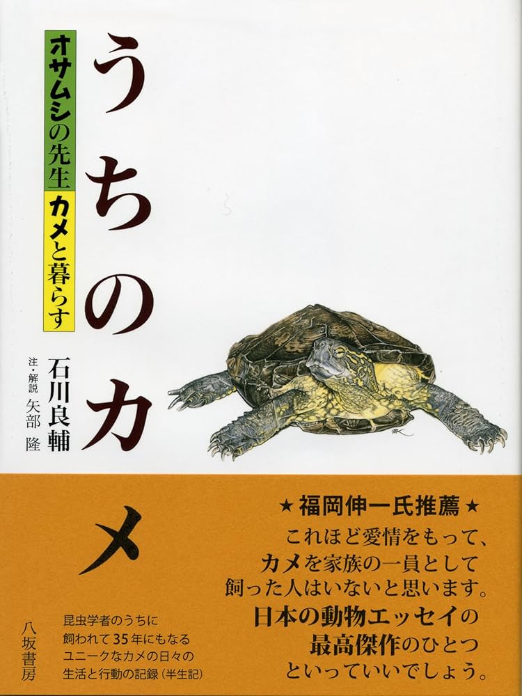 うちのカメ: オサムシの先生カメと暮らす | 石川 良輔 |本 | 通販 | Amazon