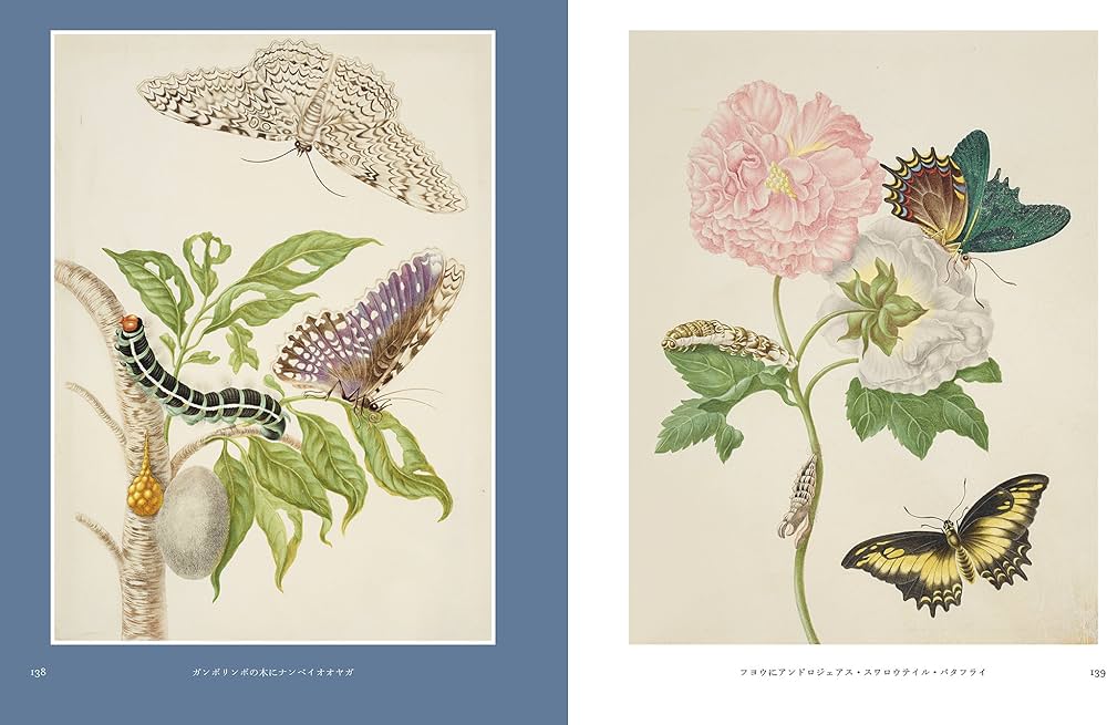 Amazon.co.jp: マリア・シビラ・メーリアン作品集 Butterflies