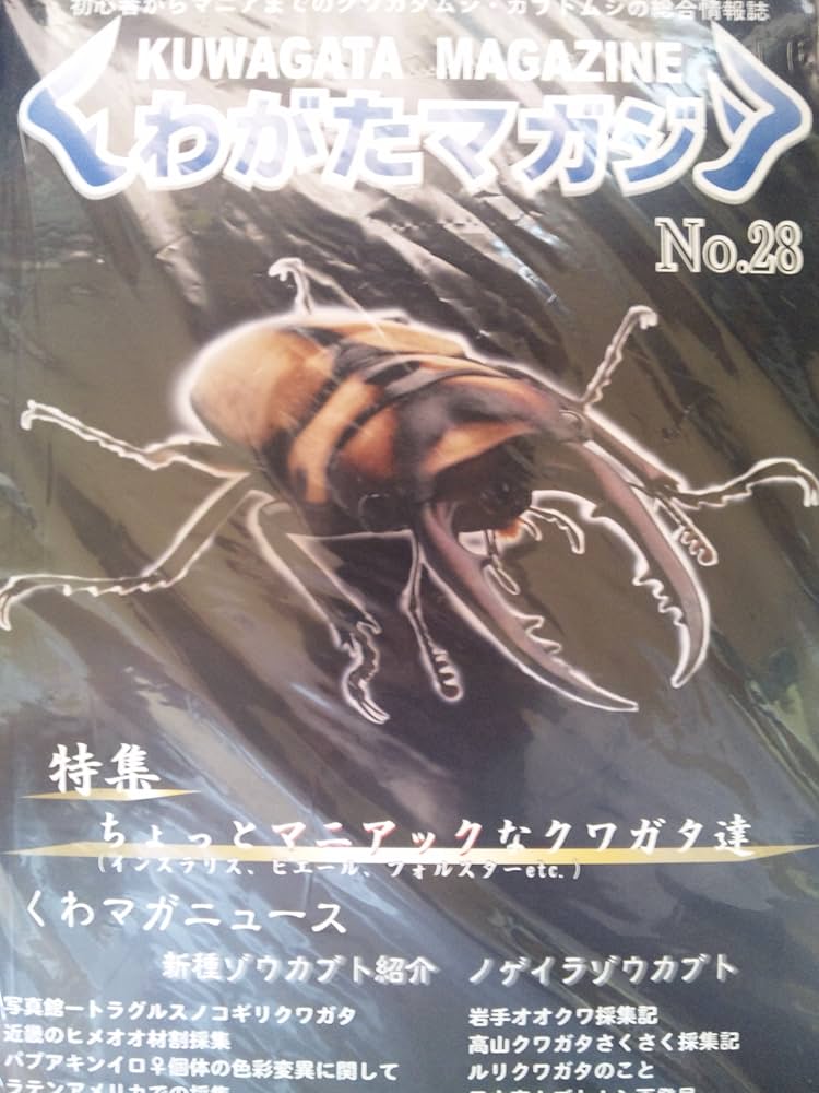 Amazon.co.jp: くわがたマガジン NO.28 : 本