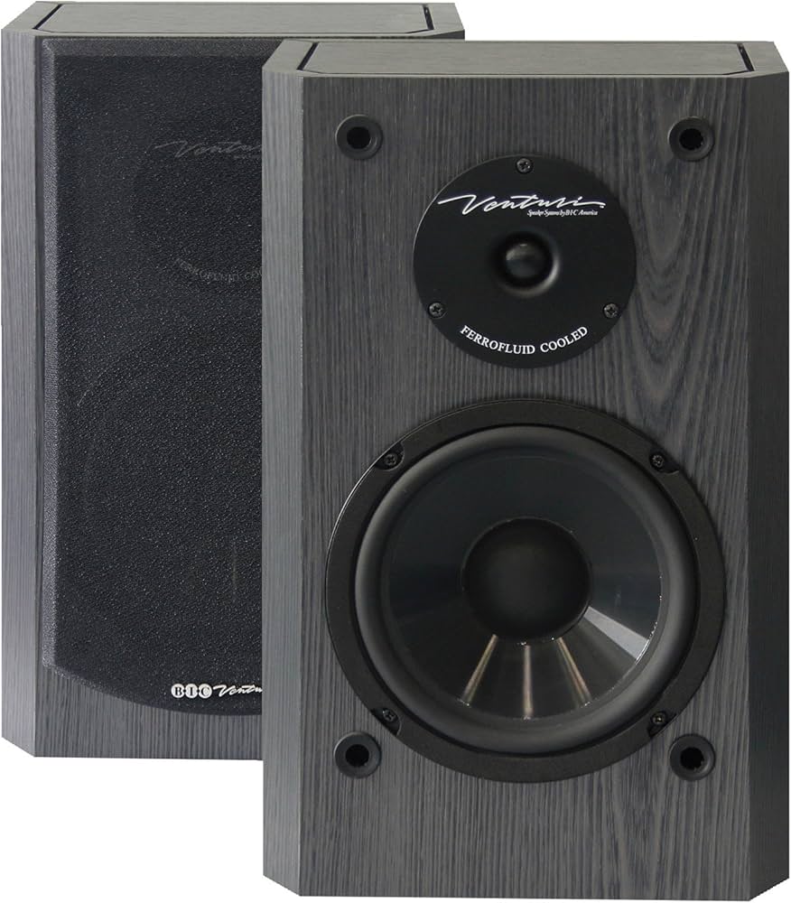 Amazon.com: BIC America DV62SIB 175-Watt 2-Way 6.5-Inch Bookshelf