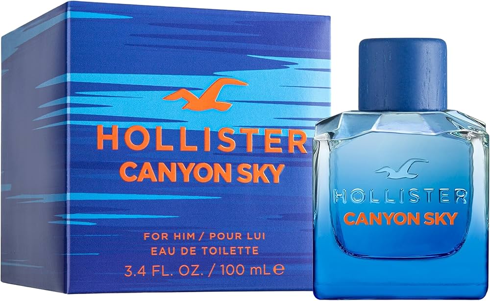 Amazon.com : Canyon Sky by Hollister for Men - 3.4 oz EDT Spray