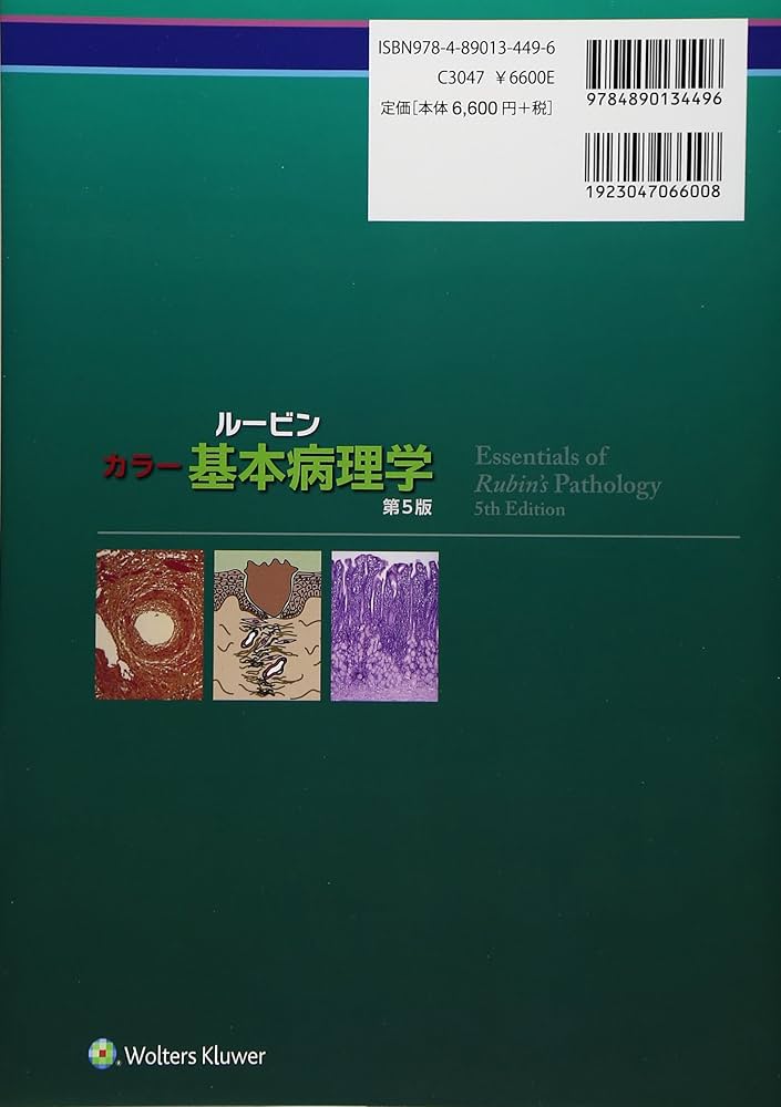 ルービンカラー基本病理学 第5版 | エマニュエル ルービン, ハワード M