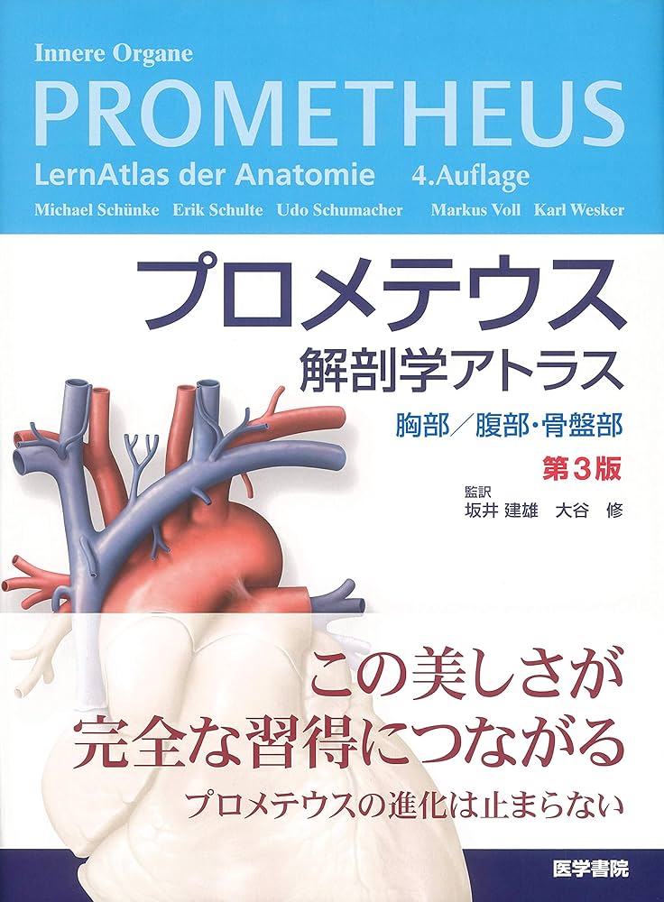 プロメテウス解剖学アトラス 胸部/腹部・骨盤部 第3版 | 坂井 建雄 |本