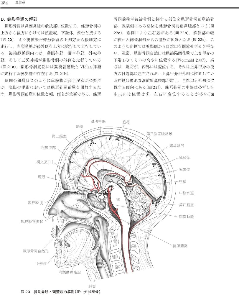 耳鼻咽喉・頭頸部手術アトラス[上巻] 第2版 | 森山 寛 |本 | 通販 | Amazon