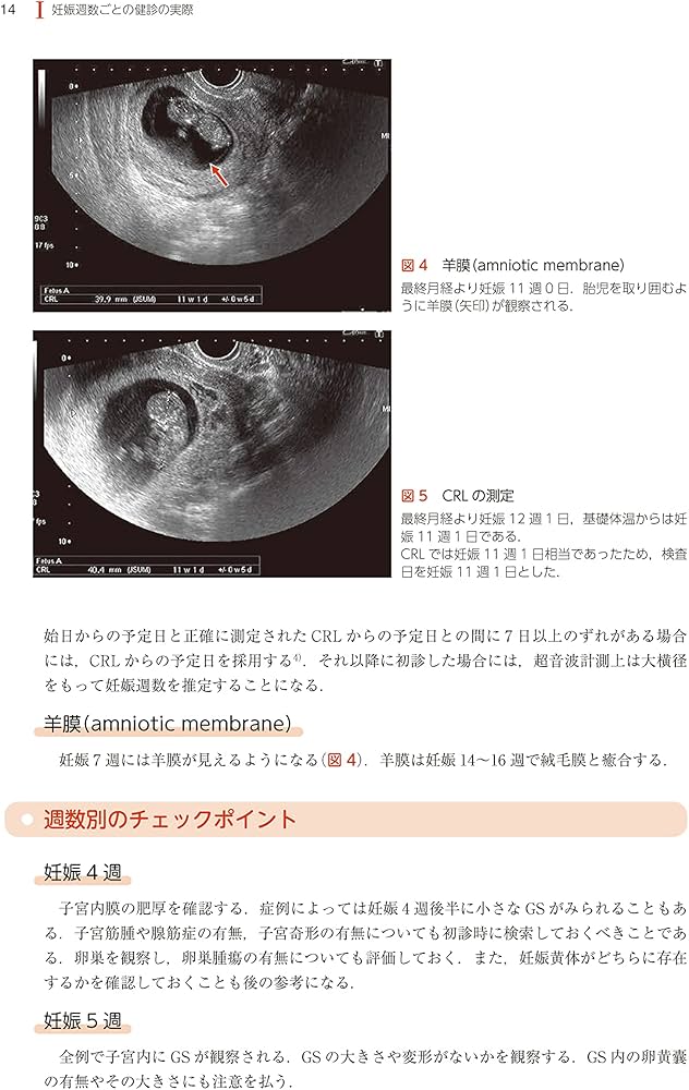 Amazon.co.jp: 週数別 妊婦健診マニュアル 第2版 : 藤井 知行: 本