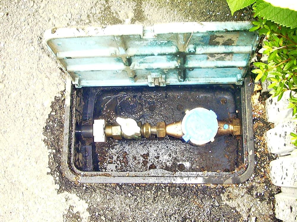 81i9qxNDowL._AC_UF1000,