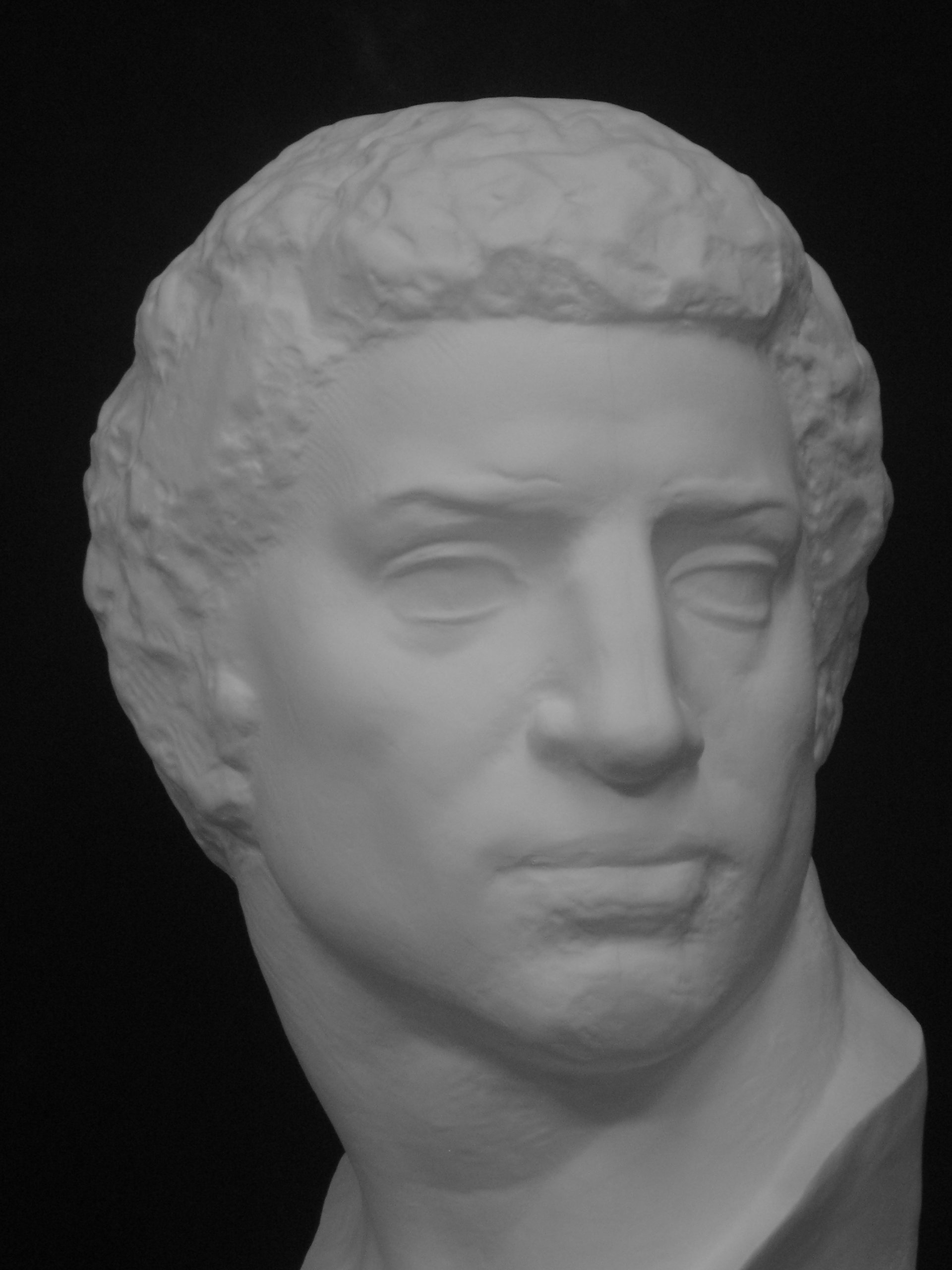 Amazon.co.jp: 石膏像 S－212 ブルータス首像 H．58cm