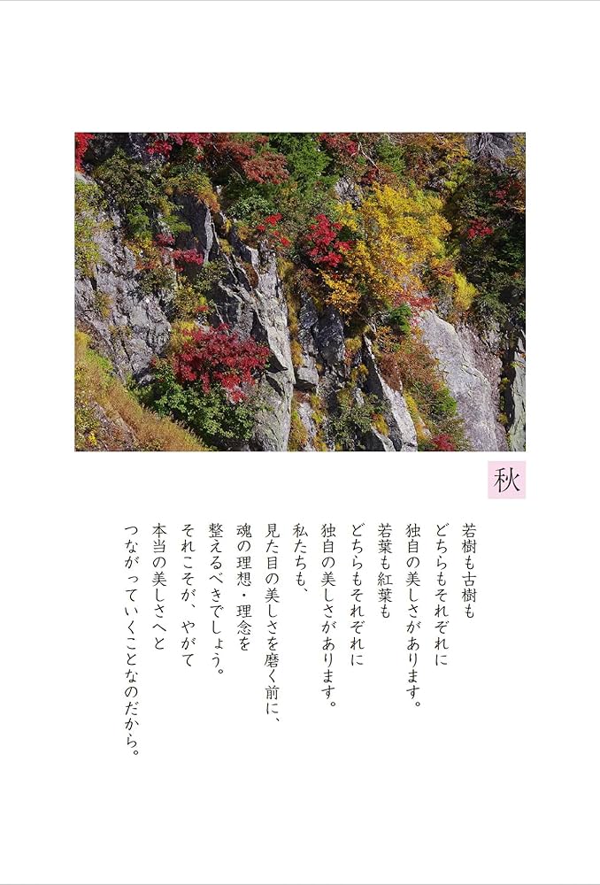 81oktD-87IL._AC_UF1000,