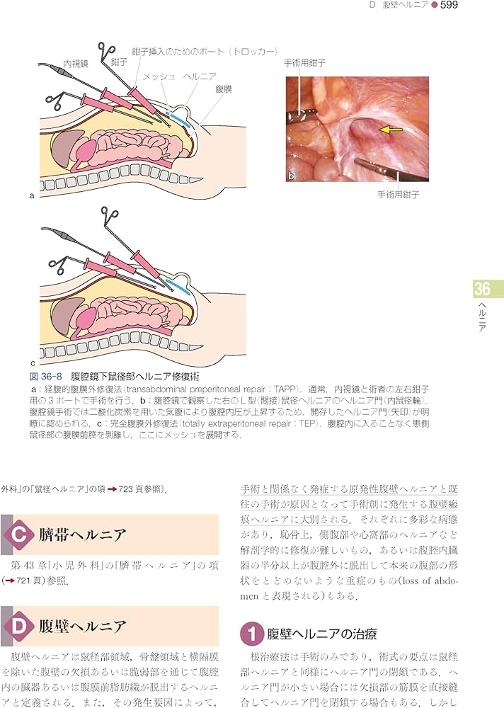 標準外科学 第17版 (Standard Textbook) | 田邉 稔, 池田 徳彦, 大木