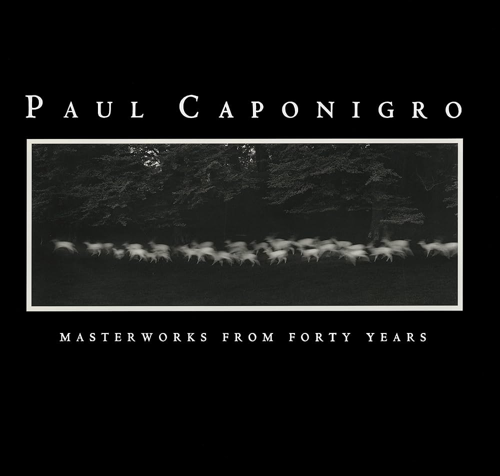 Paul Caponigro: Masterworks from Forty Years: Paul Caponigro, Paul