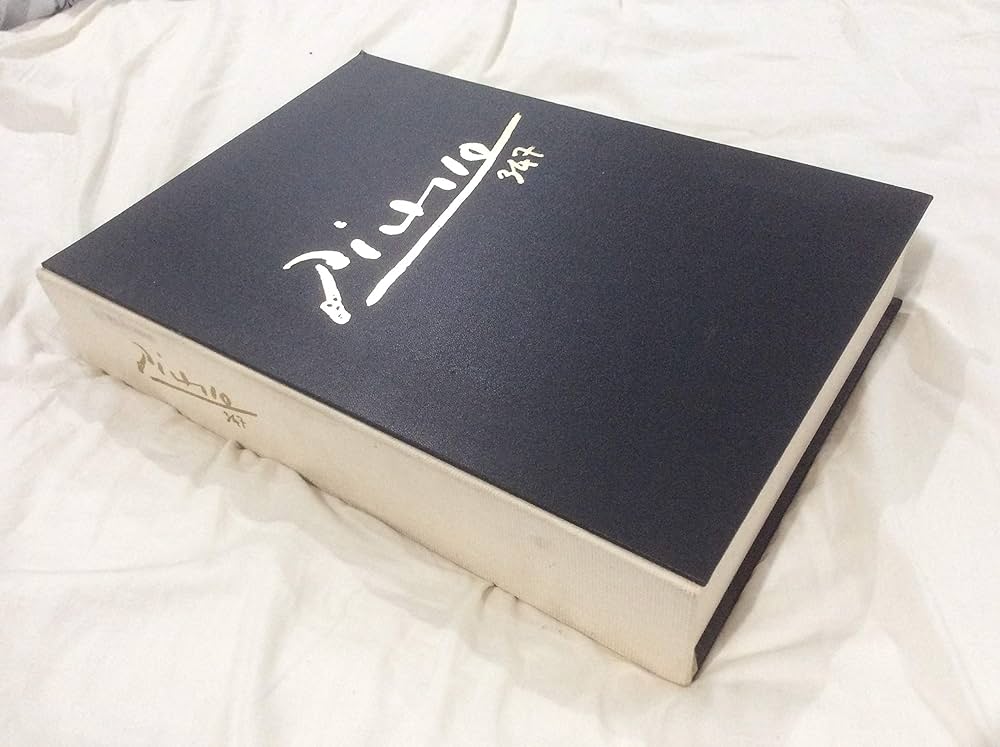 Picasso 347: Picasso, Pablo: 9780394440507: Amazon.com: Books