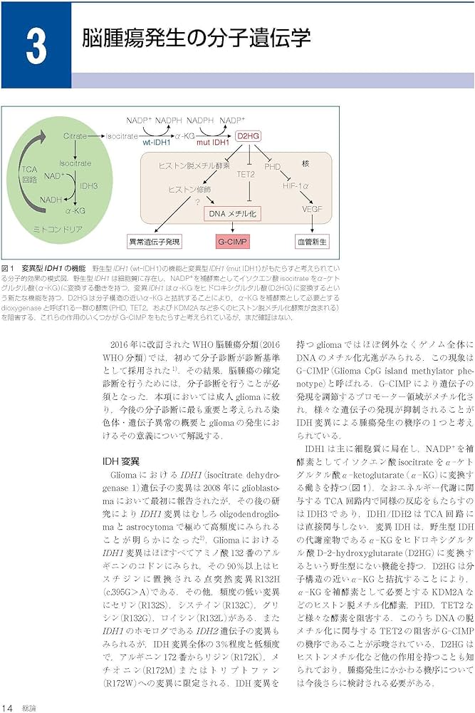 Amazon.co.jp: 脳腫瘍臨床病理カラーアトラス 第4版 : 日本脳腫瘍病理